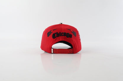 CHICAGO SOX