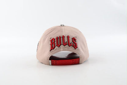 CHICAGO BULLS